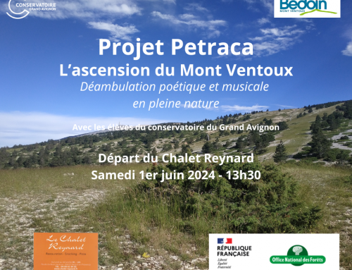 Projet Petraca – L’ascension du Mont Ventoux – Déambulation poétique et musicale  en pleine nature