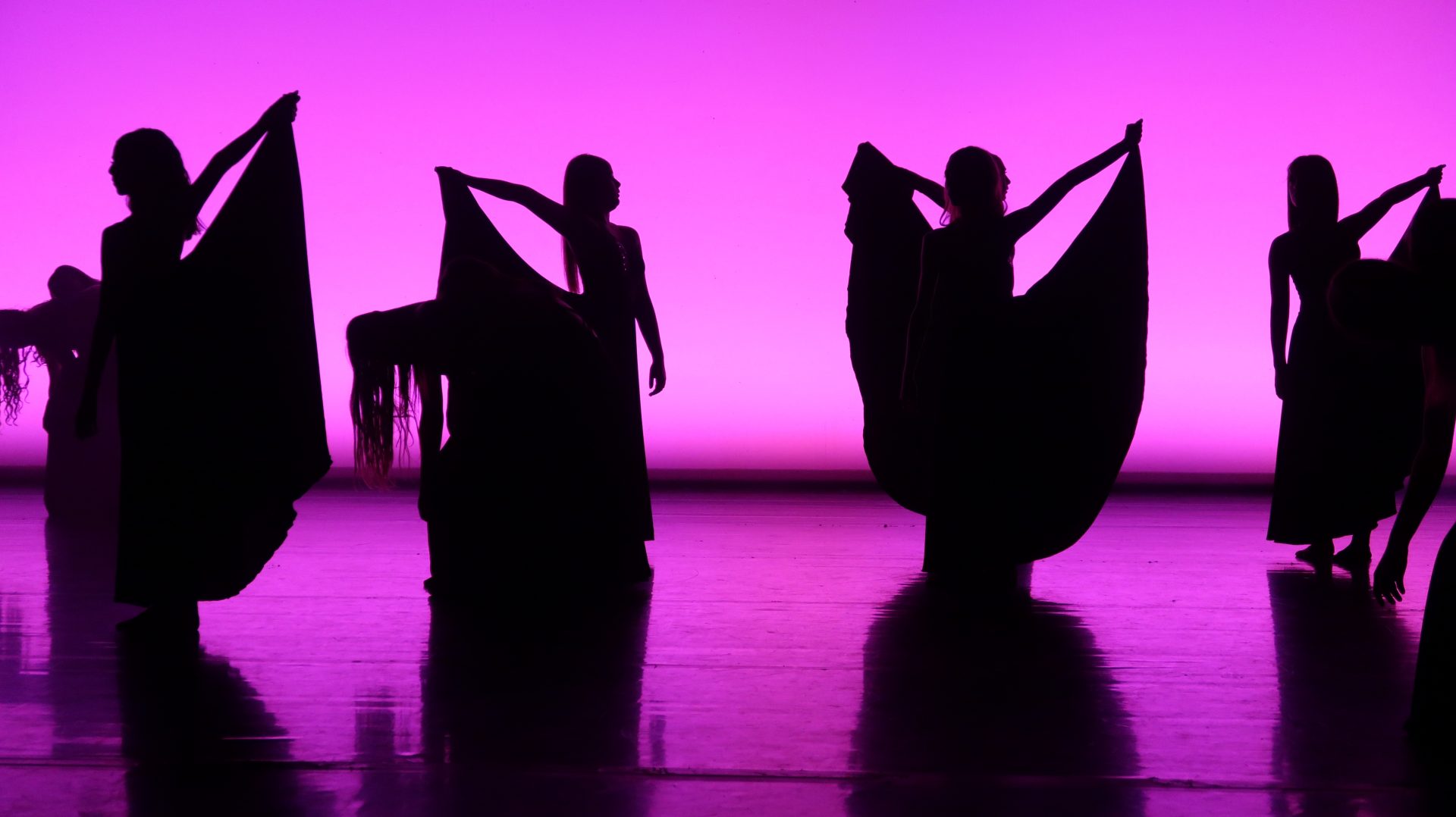 05.06 concert spectacle harpe et danse flamenco